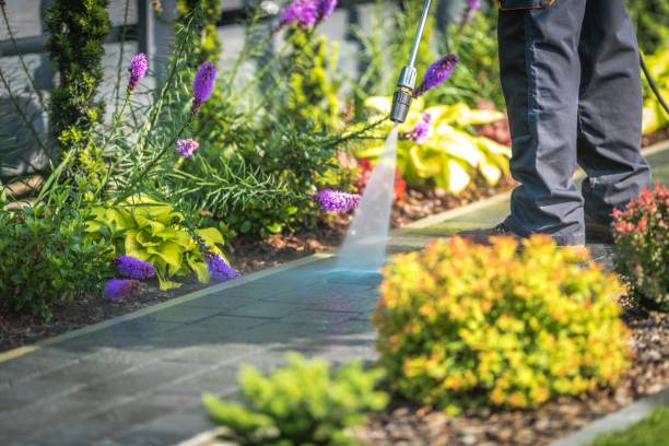 Best Pre-Holiday Cleaning  in West Glens Falls, NY